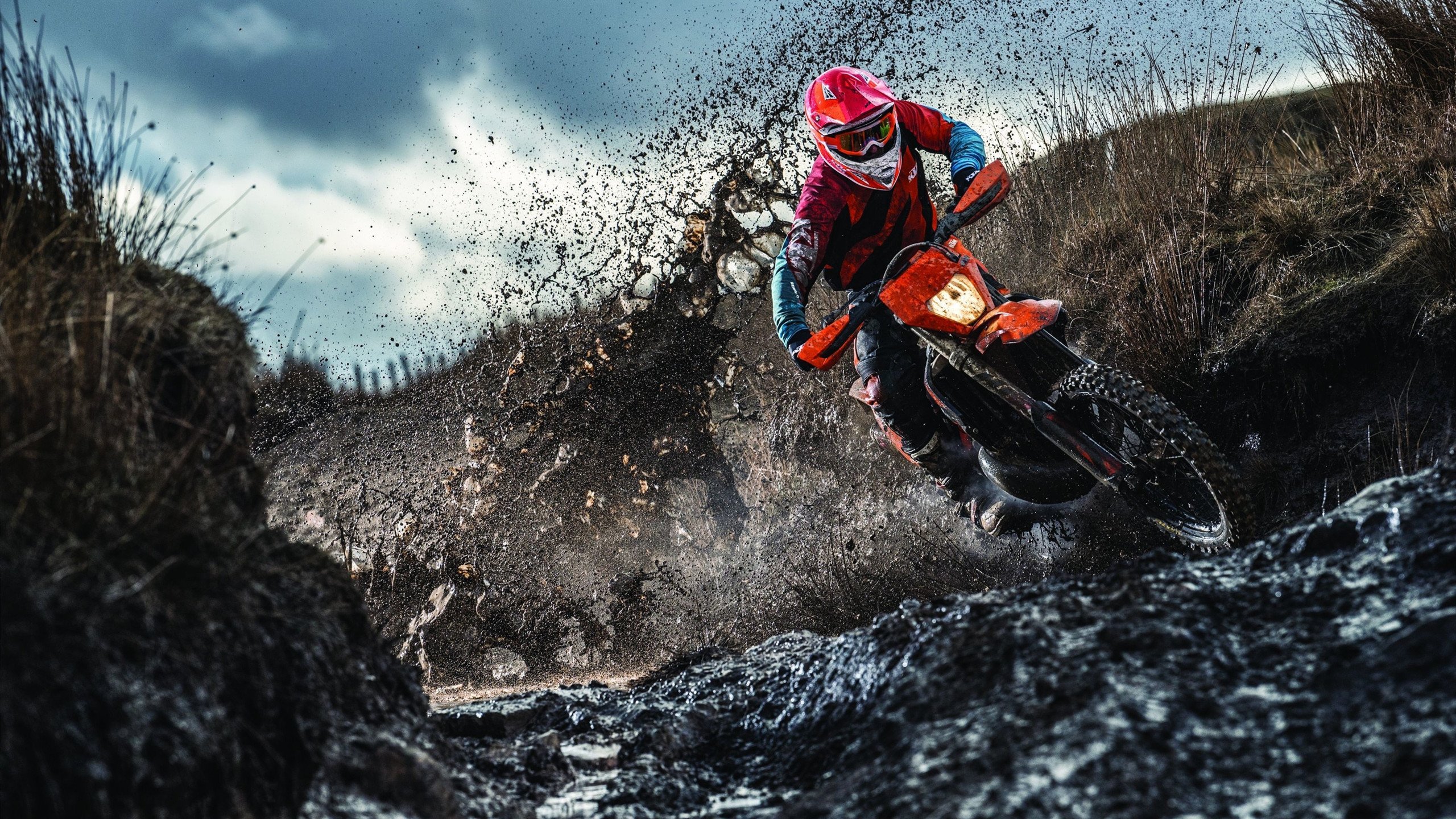 武切维奇统治攻防两端,雄鹿战术执行力完胜辽宁取关键胜利